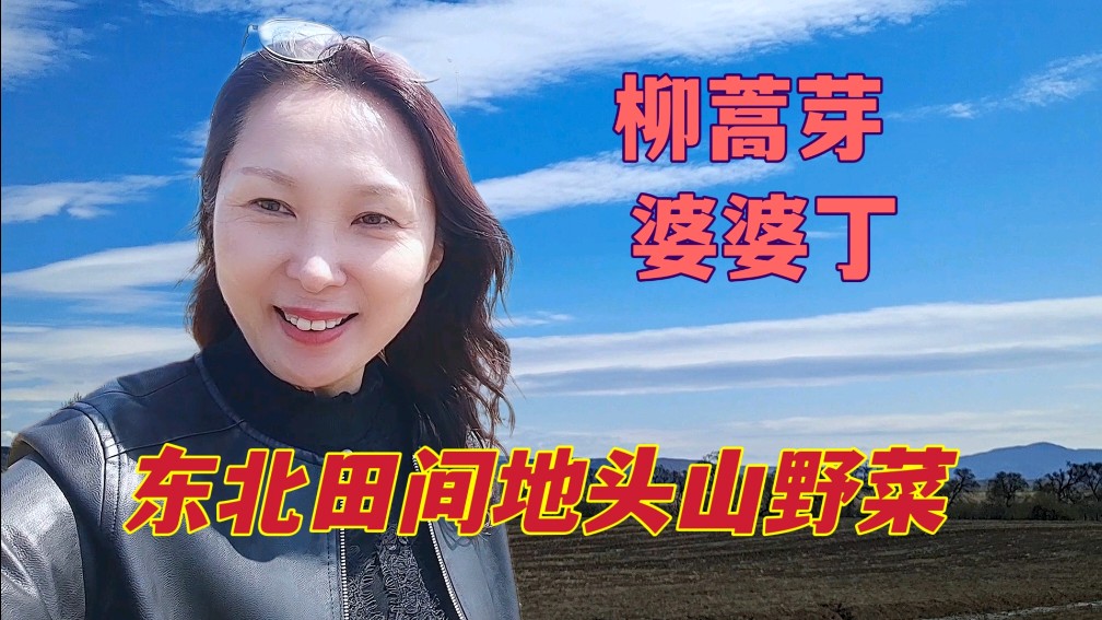 东北各种山野菜出来了,去年这里柳蒿芽可多了,东北大姐挖山野菜