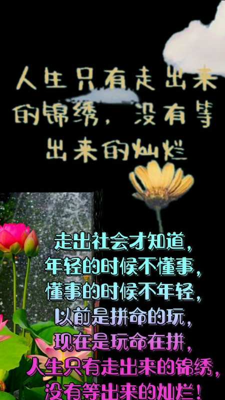 年轻的时候不懂事,懂事的时候不年轻!