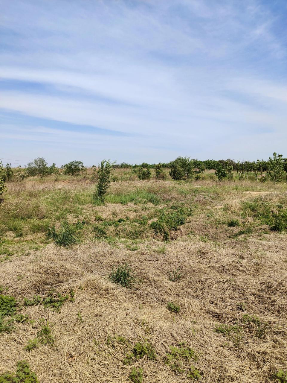 为什么现在农村的荒地很多?