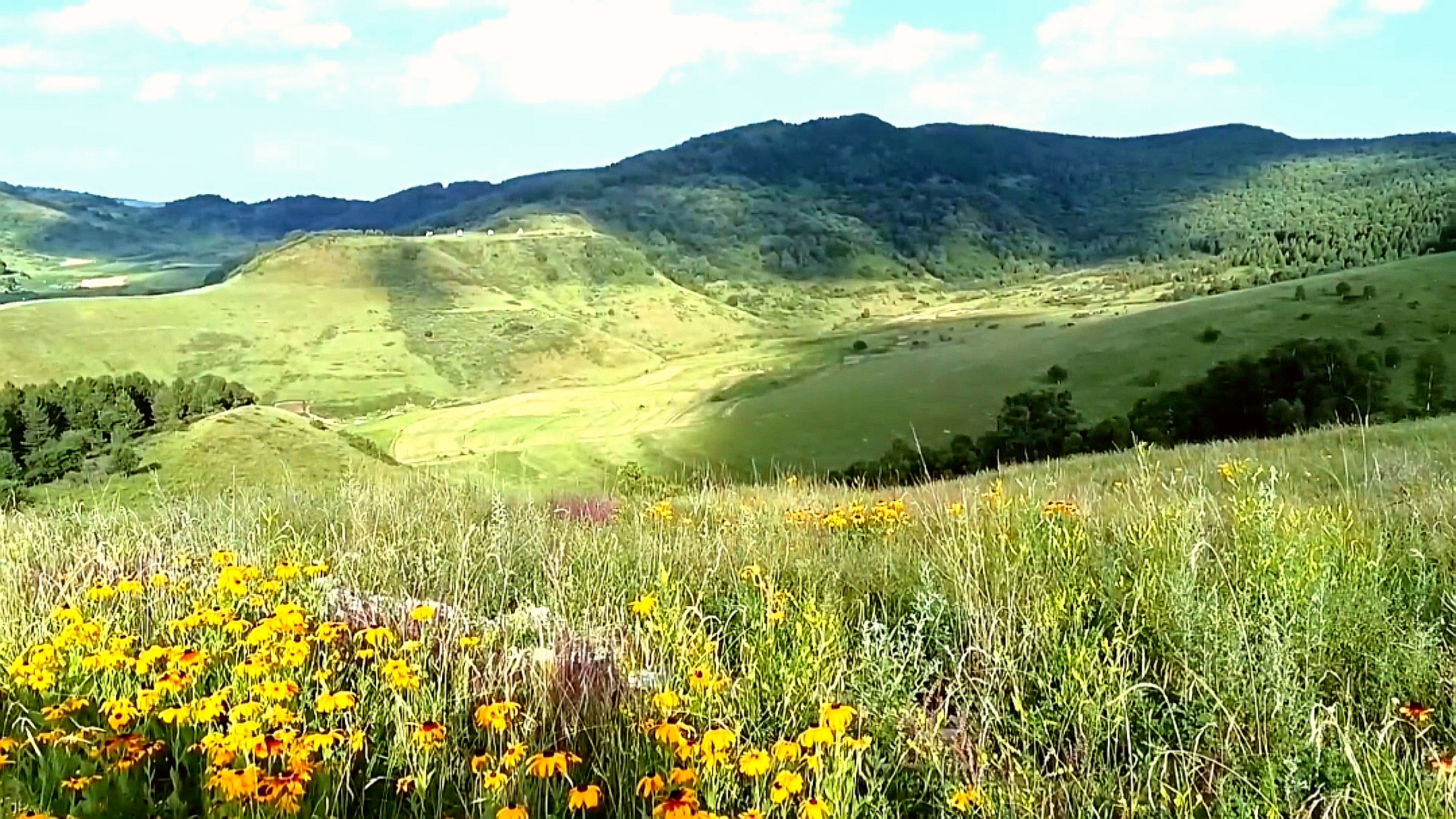 沁源的亚高山草甸,震撼人心的美丽和辽阔,只一眼便沦陷