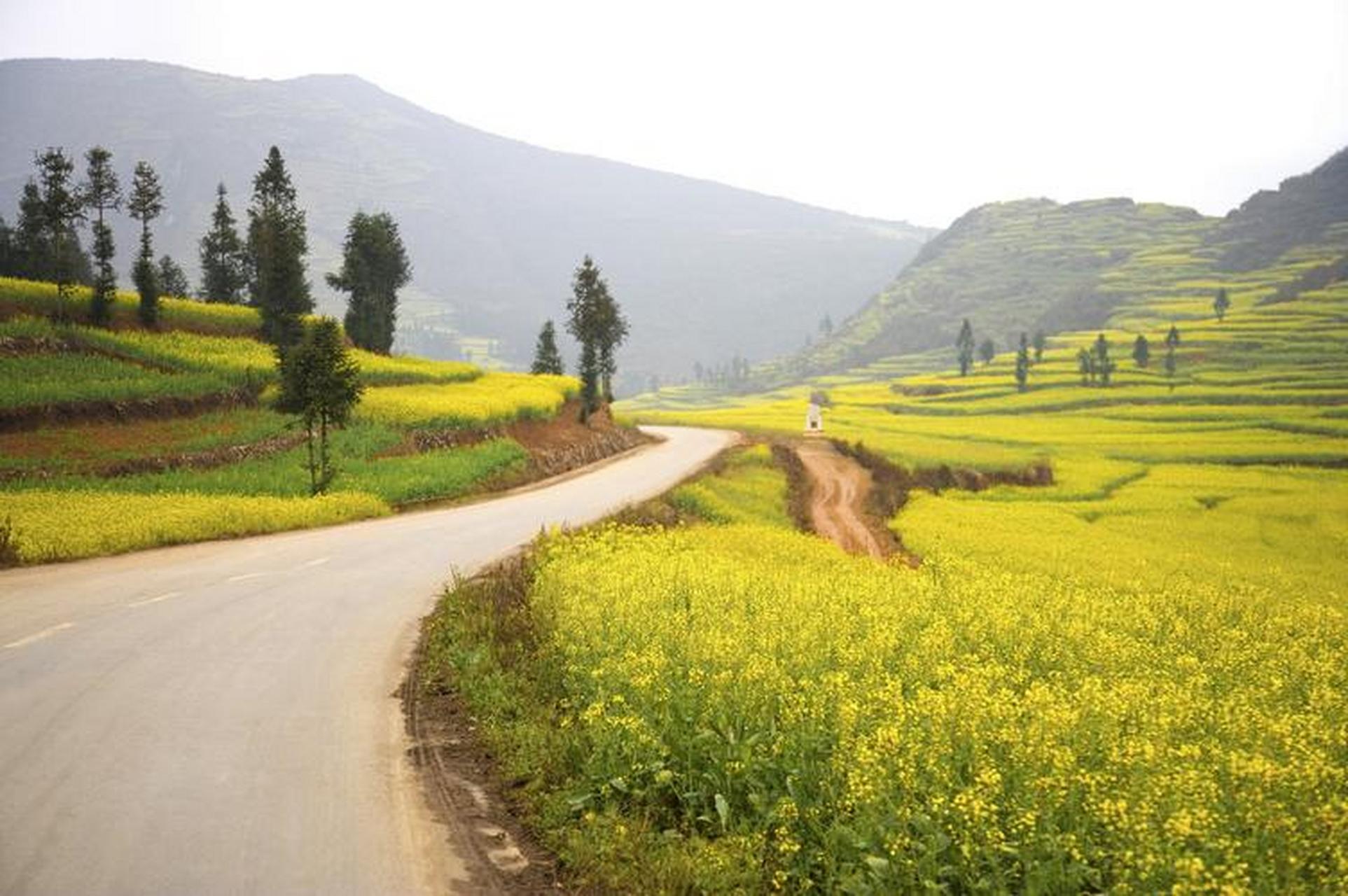 乡土记忆:弯弯曲曲的乡村小路,是否让你想到你的故乡?