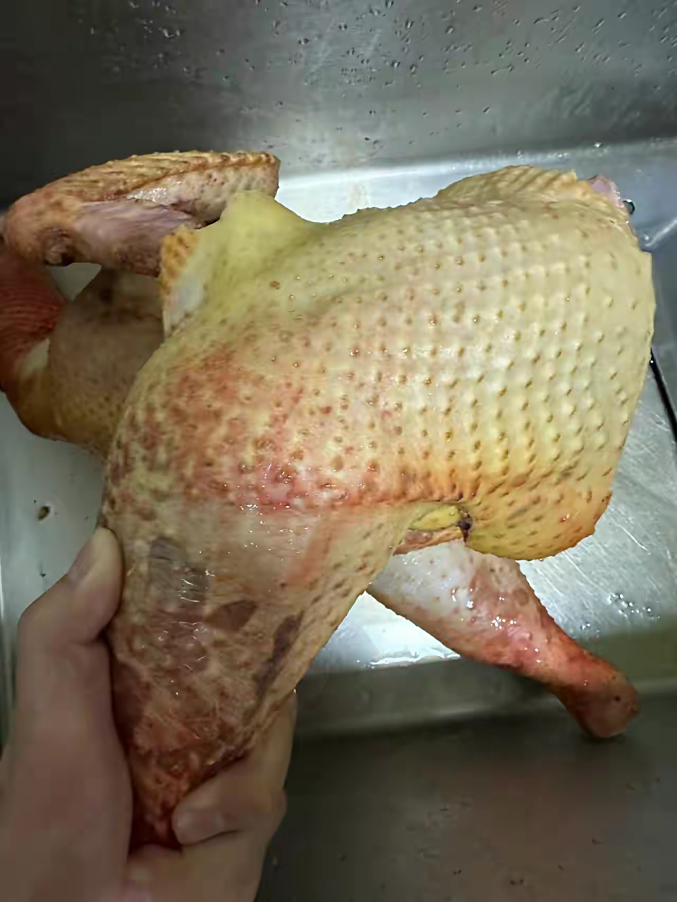 8斤多,鸡腿比我手掌还大,全身瘦肉,一点费油都没,很少见这么好的土鸡