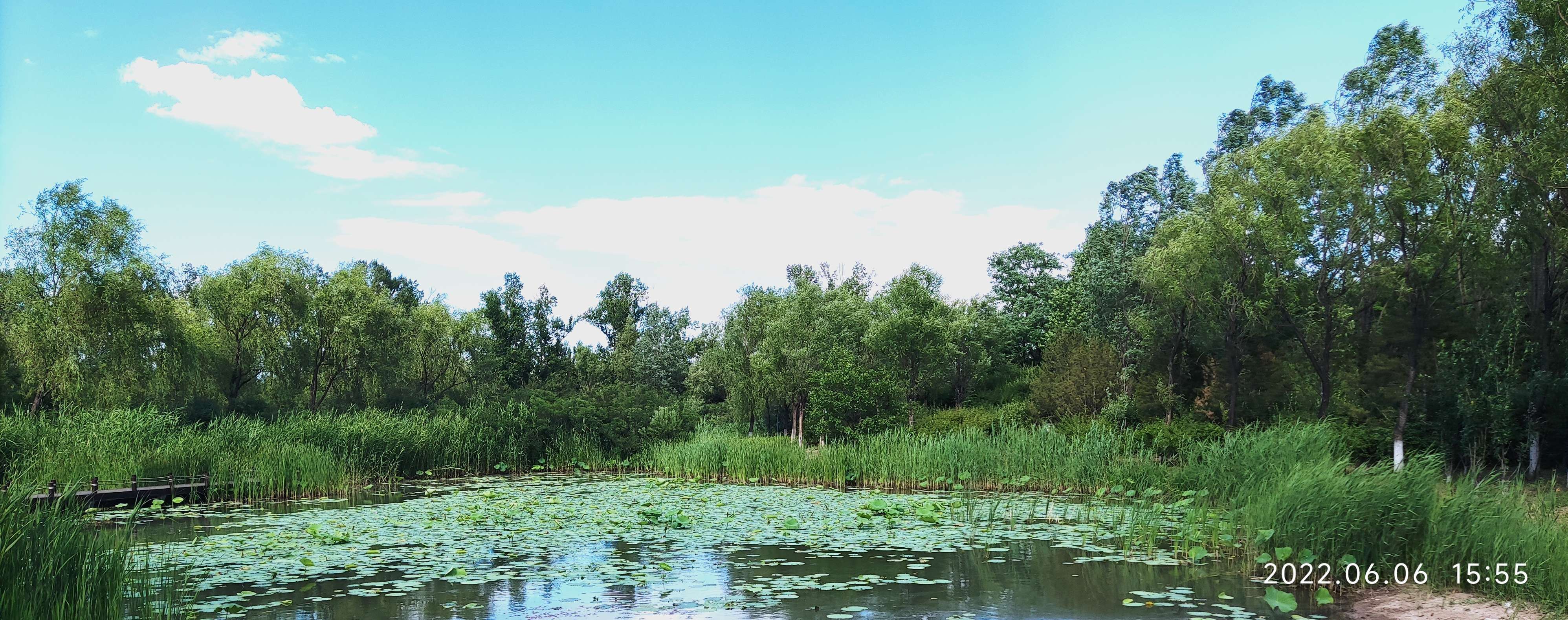 遊覽翠湖國家城市溼地公園