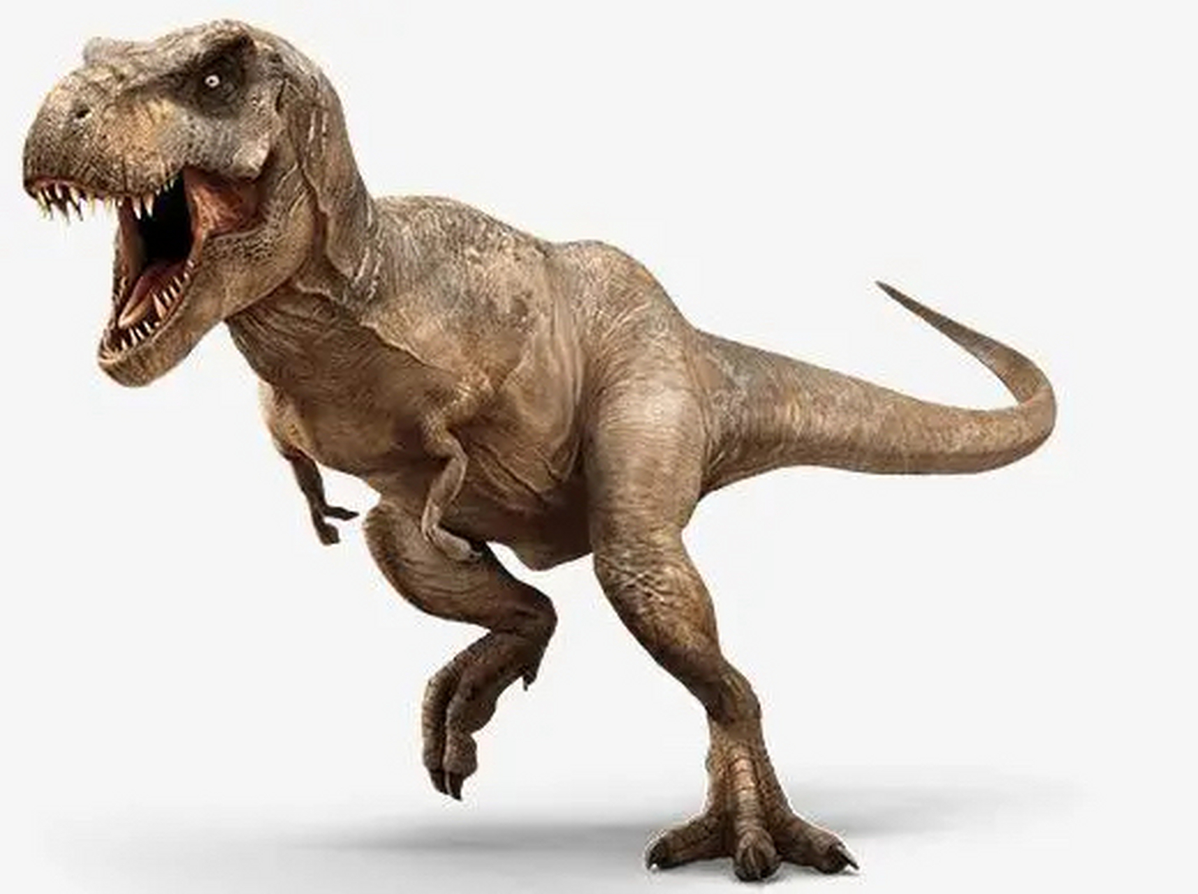 今天终于对霸王龙下手了,然后萌化出一新物种,好神奇.