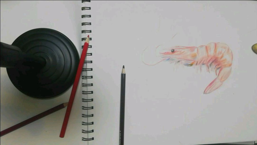 彩铅笔画虾有食欲