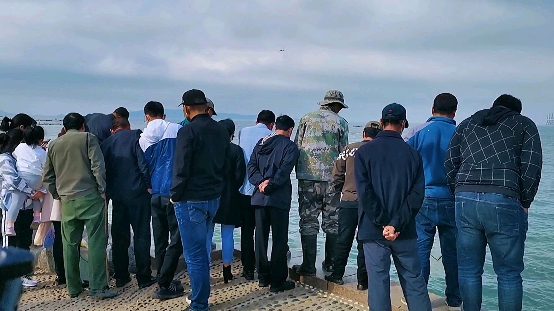 威海涨潮遇到鱼群,撒网捕鱼连上大鱼,一尺多长才卖20元