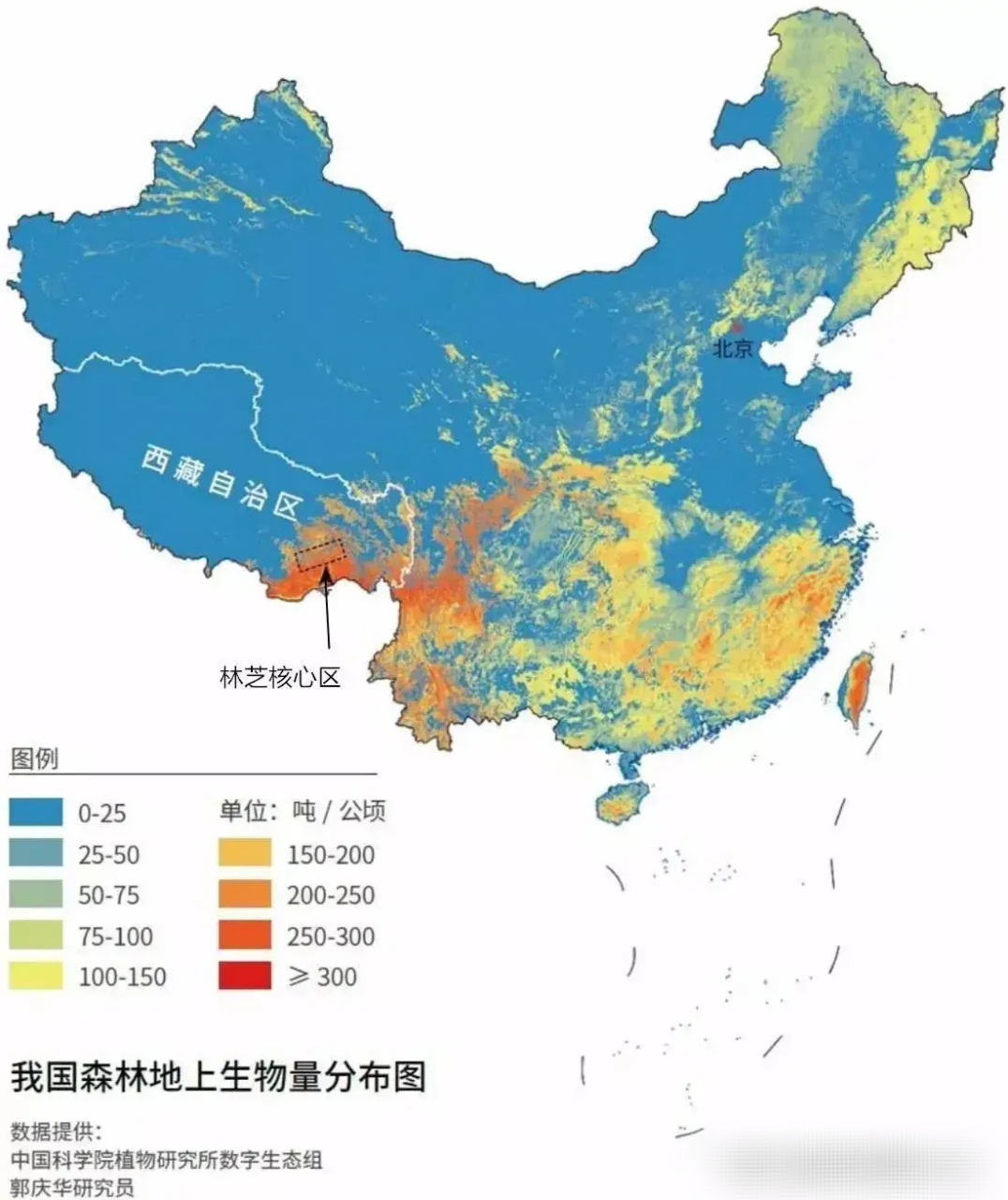 新疆的森林主要分布在阿勒泰的阿尔泰山,伊犁河谷和天山的北坡,其他