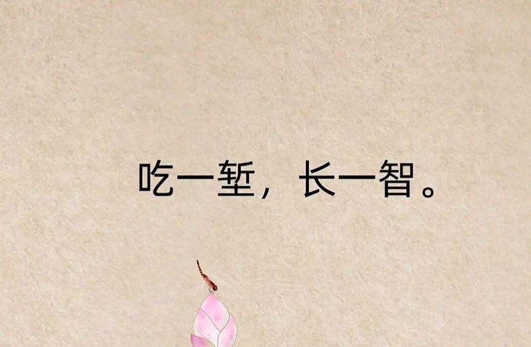 活明白|不经一事不长一智