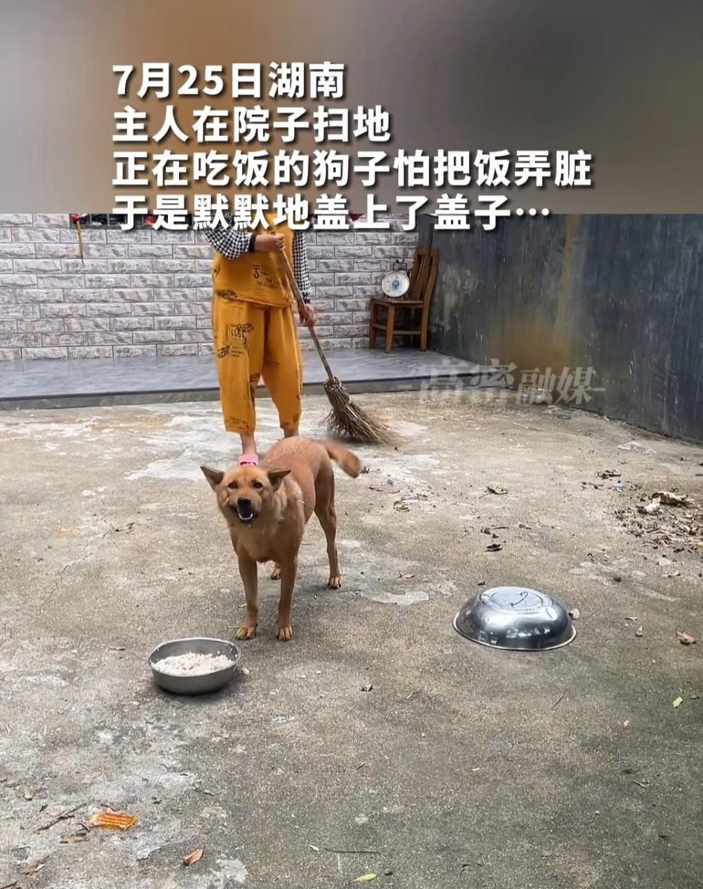 人不是个讲究人,狗是条讲究狗.