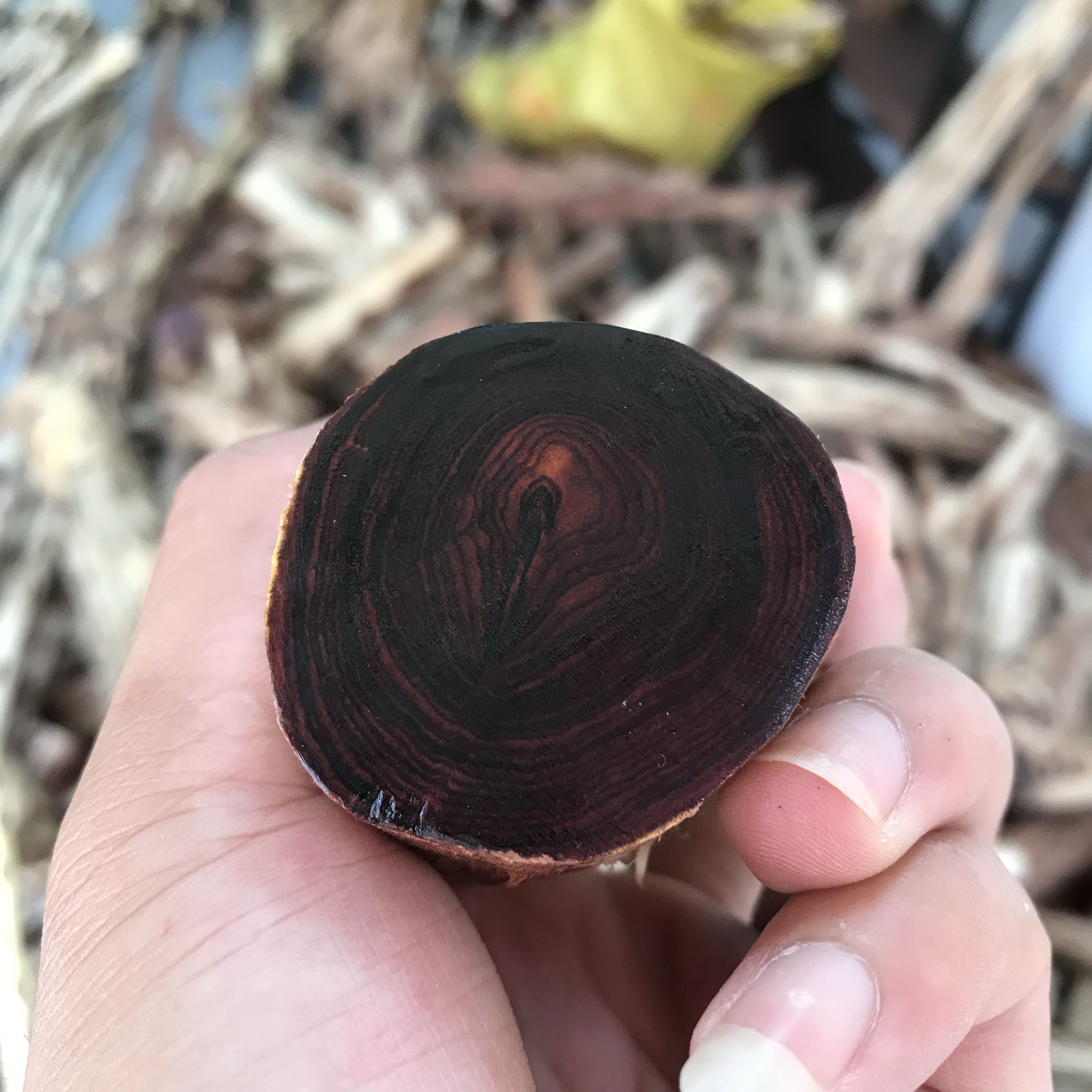 海南黄花梨各种纹理图集参考