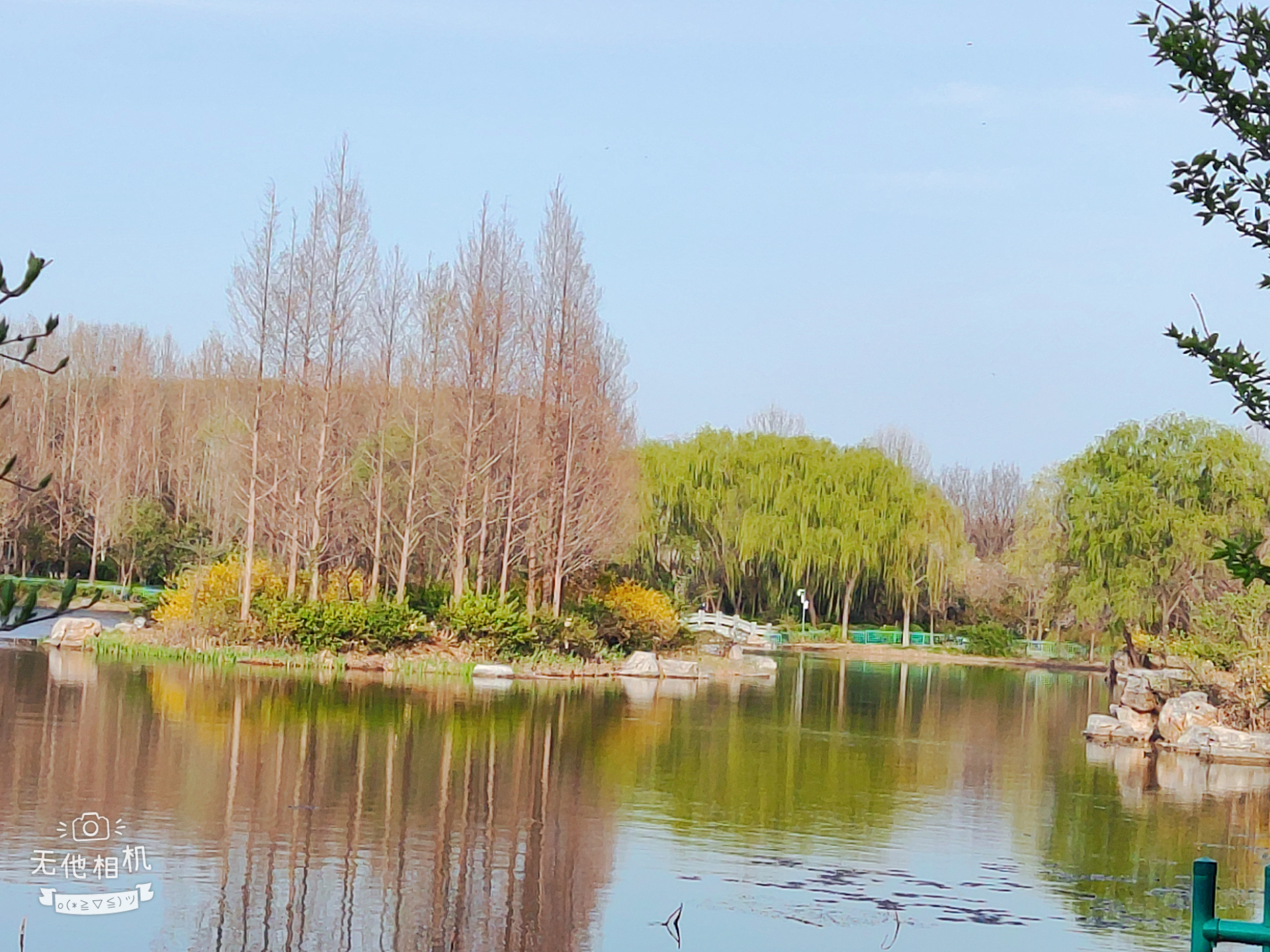 济南春游好去处-济南森林公园的春天美景如画,张张春天的美景壁纸