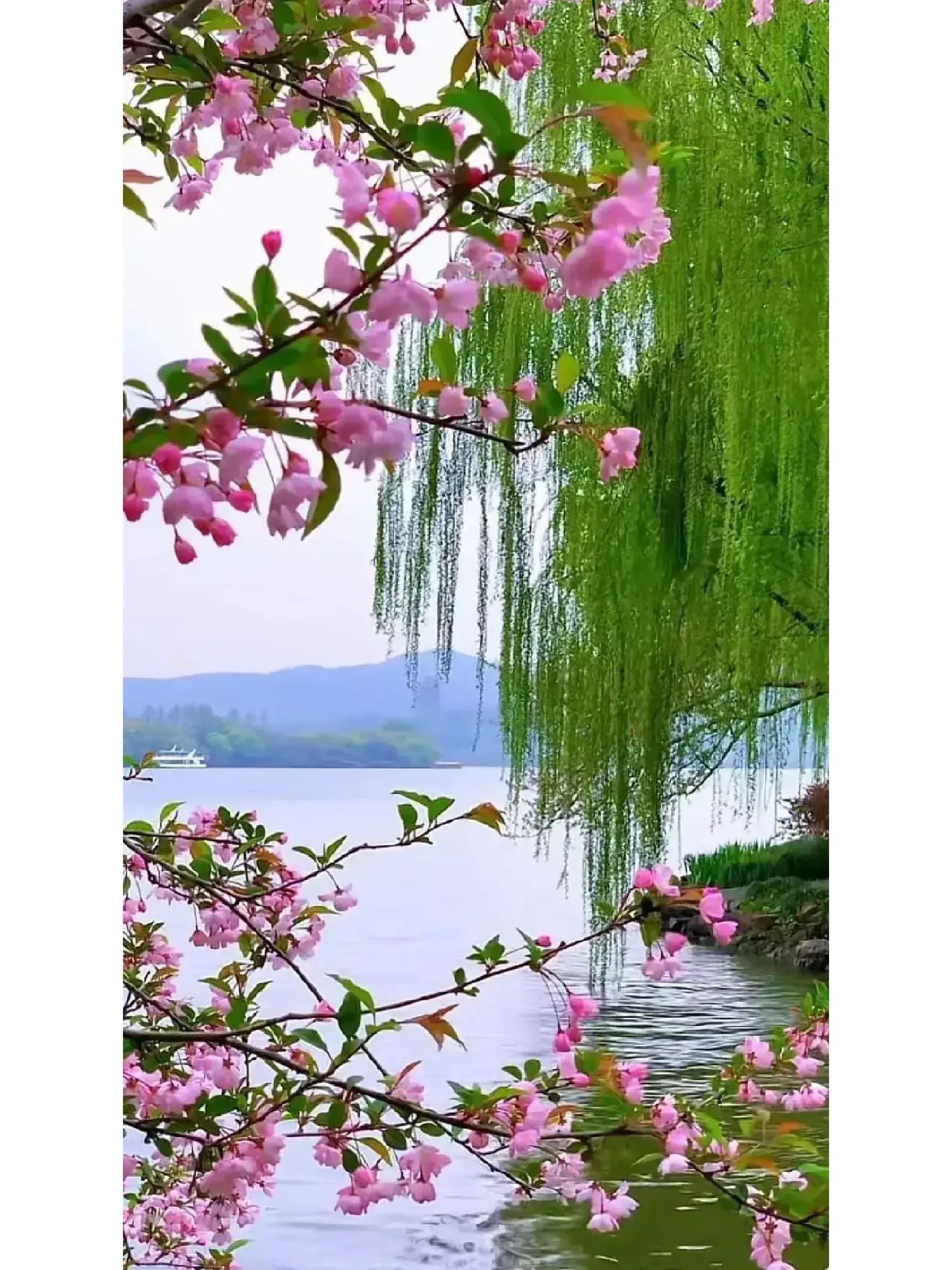 上联:花红柳绿桃李艳