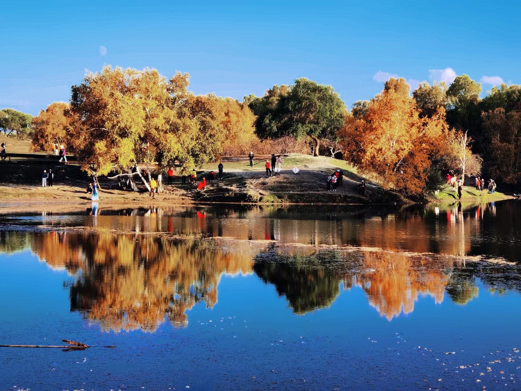 坝上秋色 67乌兰布统公主湖