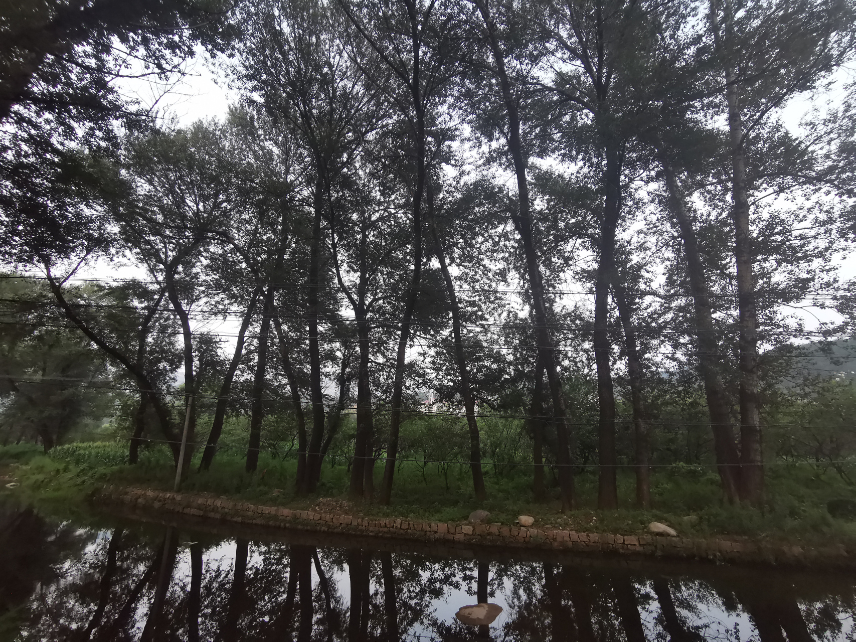 就当这里的一棵树吧～ 延庆莲花山附近,有山有水有虫鸣有游鱼,有凉风