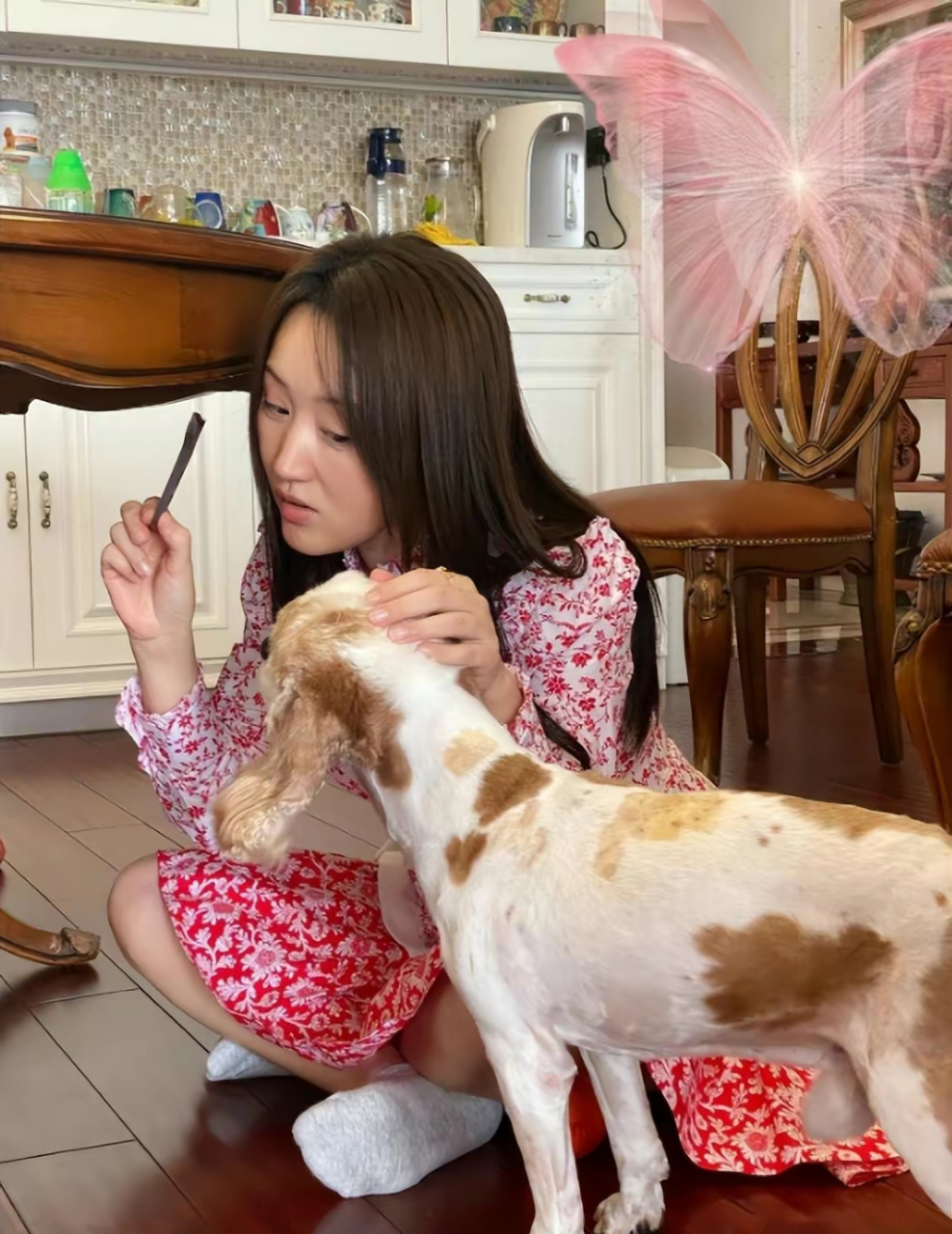 村姑打扮摘菜也很美,与狗相伴不嫁人  大家都记得杨钰莹唱的哪些经典