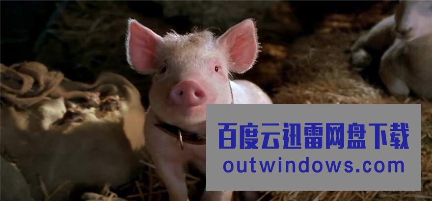 [电影]《小猪宝贝2：小猪进城》1080p|4k高清