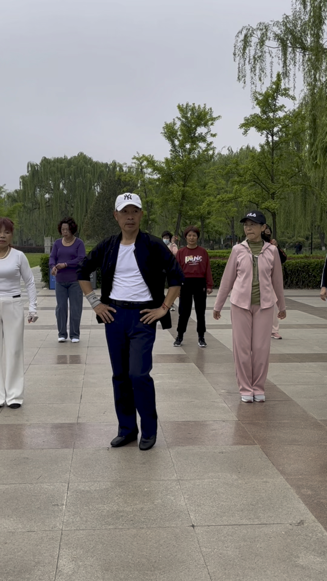 晨风大叔广场舞