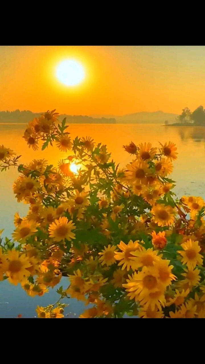 人的命,天注定,你相信吗?