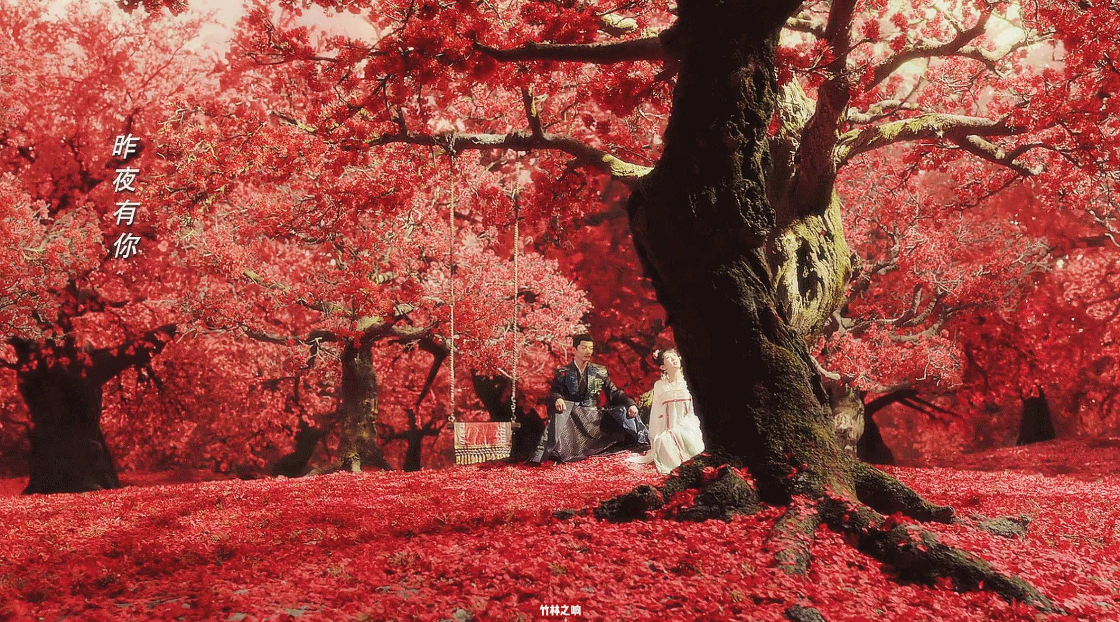 杨紫和代露娃一起喊张晚意哥哥,能把我们的大表哥喊崩溃,哈哈～果然