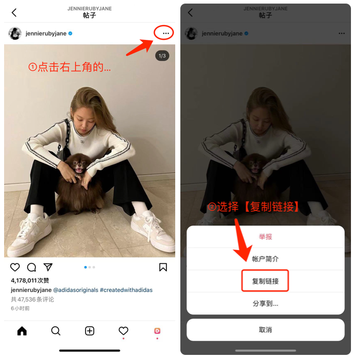 怎麼在instagram找到想要的圖片?附保存ins原圖下載ins視頻教程