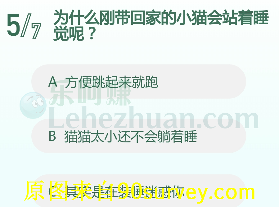 为什么刚带回家的小猫会站着睡觉呢？