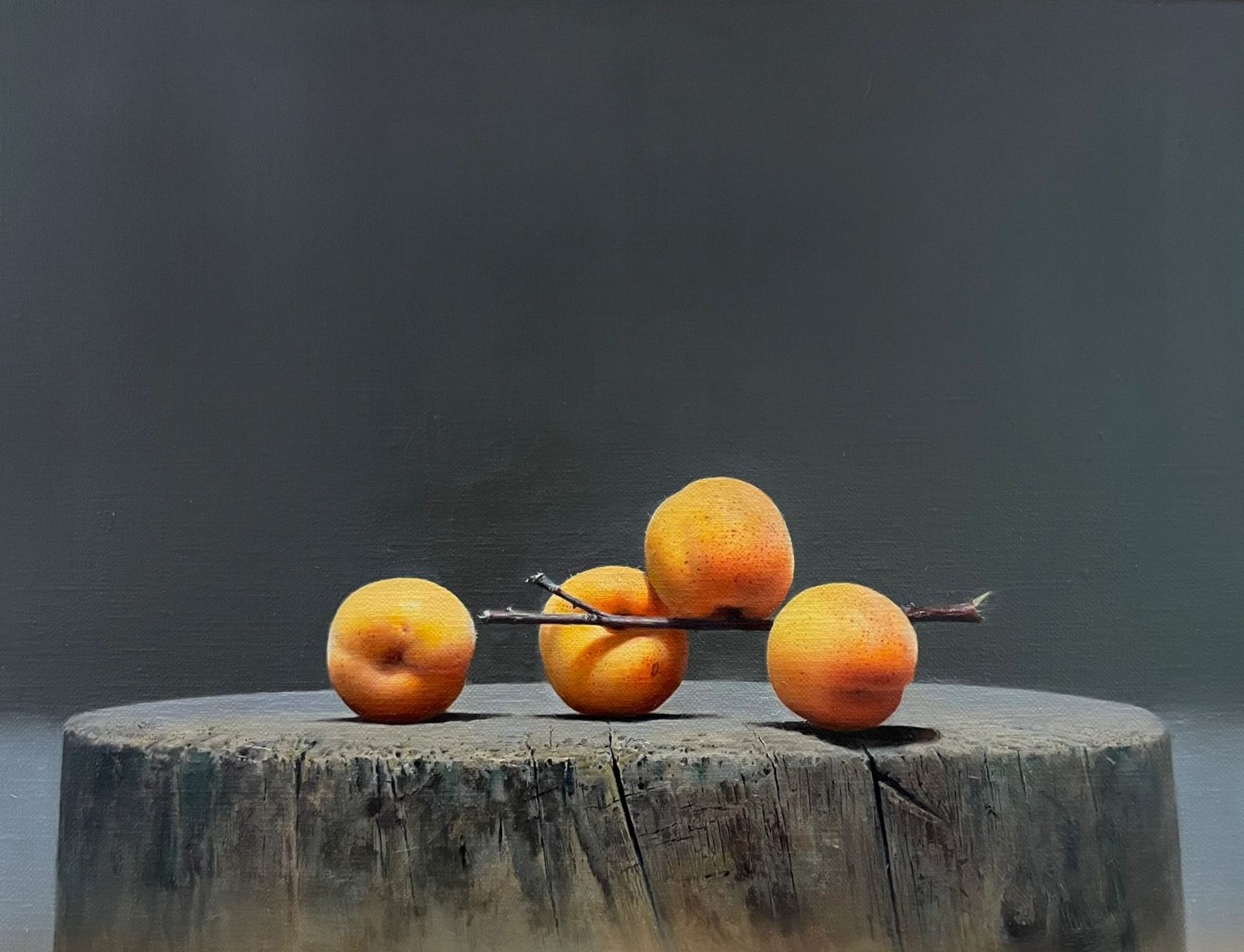 超写实静物油画作品欣赏!有喜欢这类绘画作品的吗?