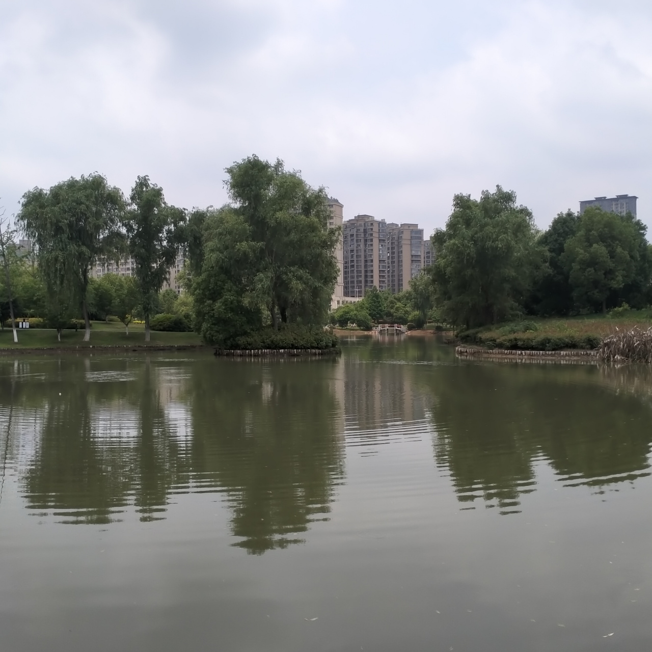 今天上午和下午,分別在六安南湖公園,淠河溼地公園跑步,這兩個地方都