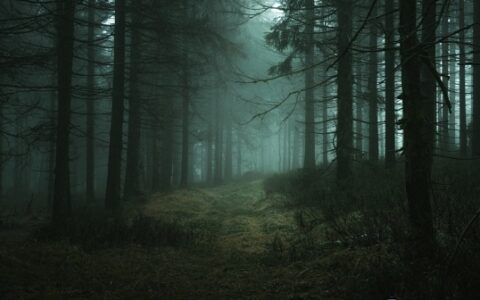 一文了解Dark Forest顶级玩家眼中的黑暗森林战争艺术