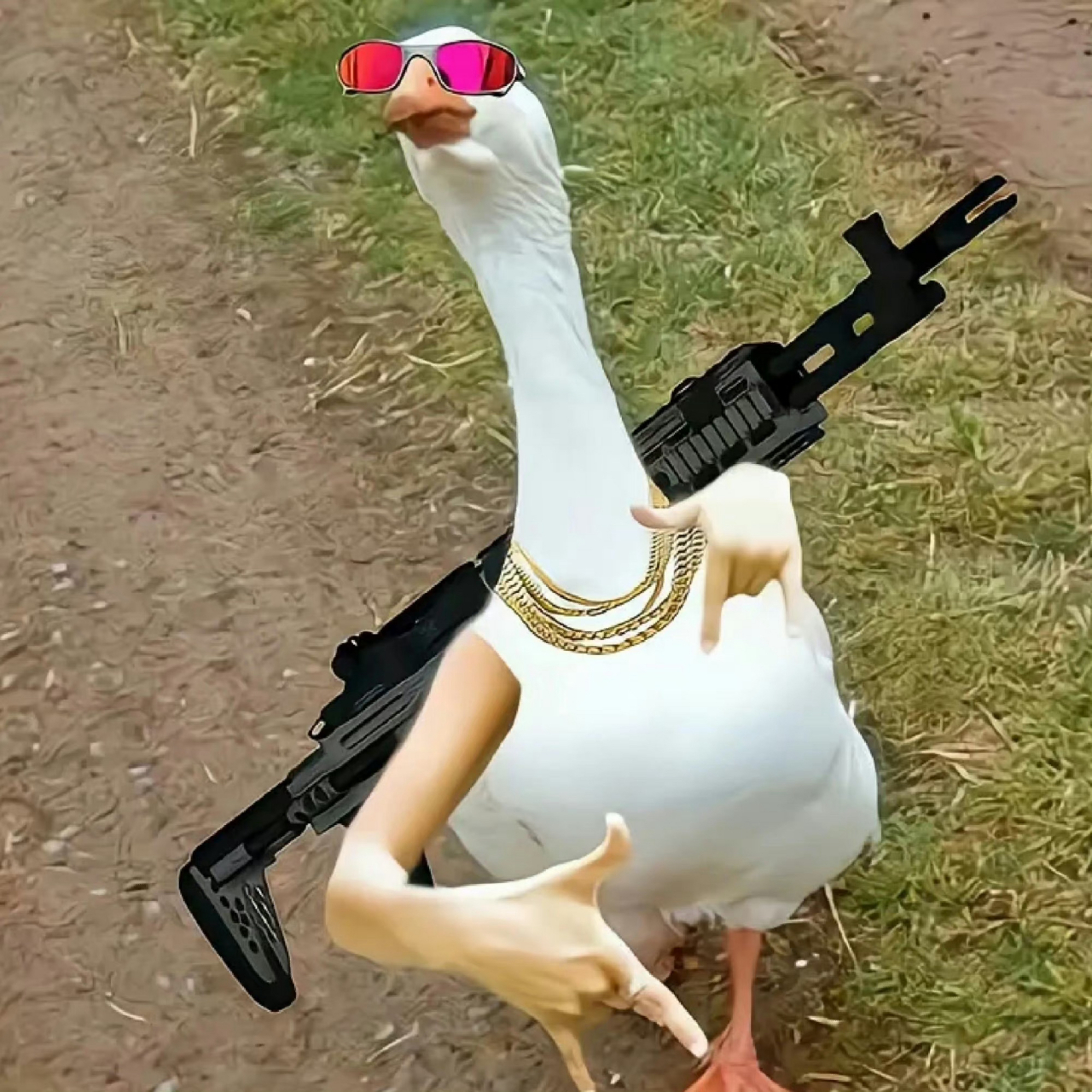 有趣的头像 | 有趣的灵魂