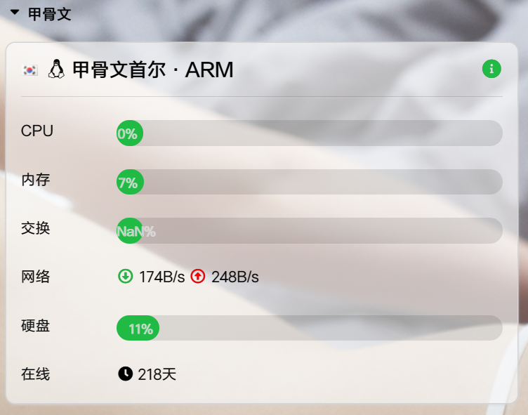 [经验]  甲骨文首尔的ARM218天了