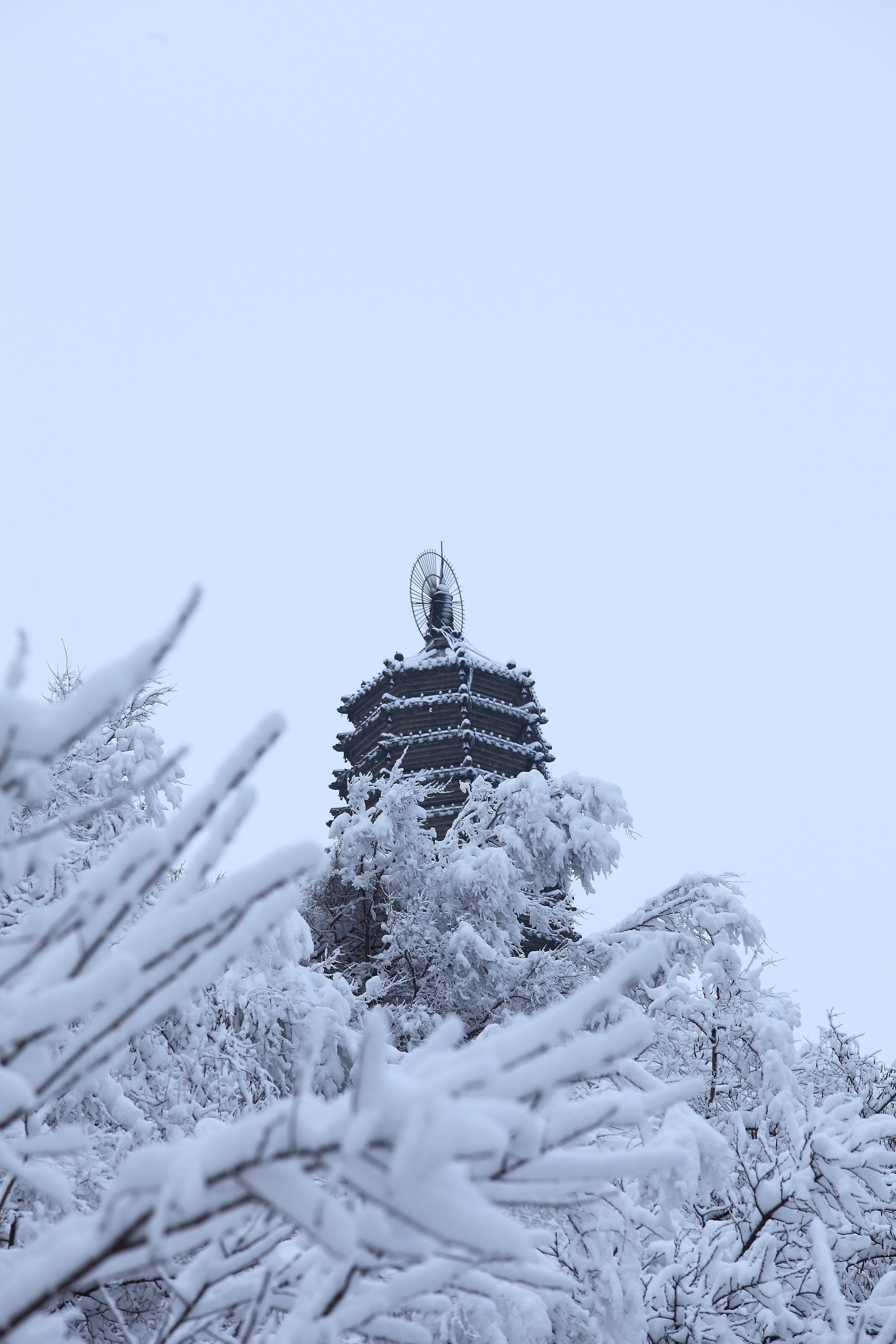 高尔山雪景图片