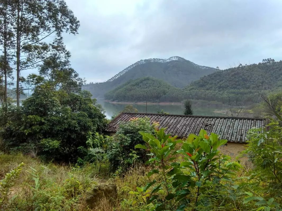 恩平茶山坑水库图片