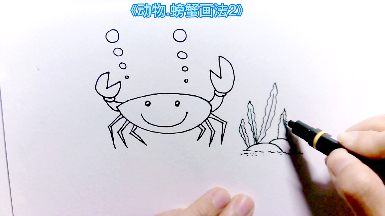 简笔画儿童画大全.手绘动物螃蟹2画法,在家学习画画