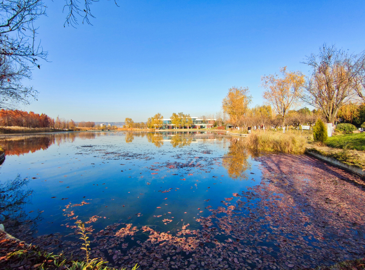 初冬宝鸡太公湖景美如画