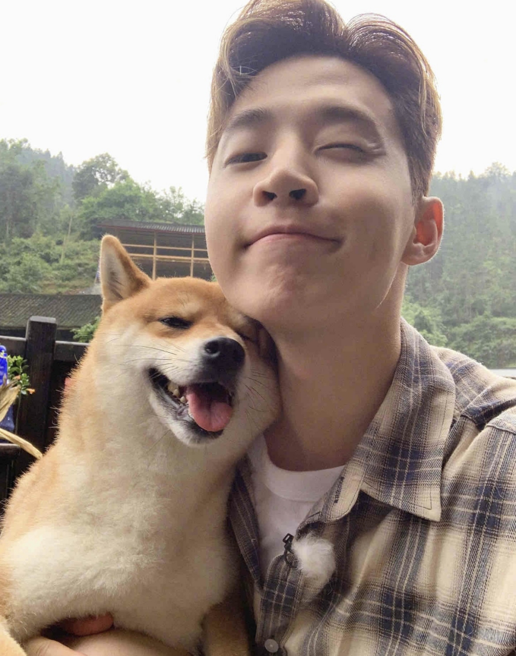 我真的要被大华和小h可爱晕了呀