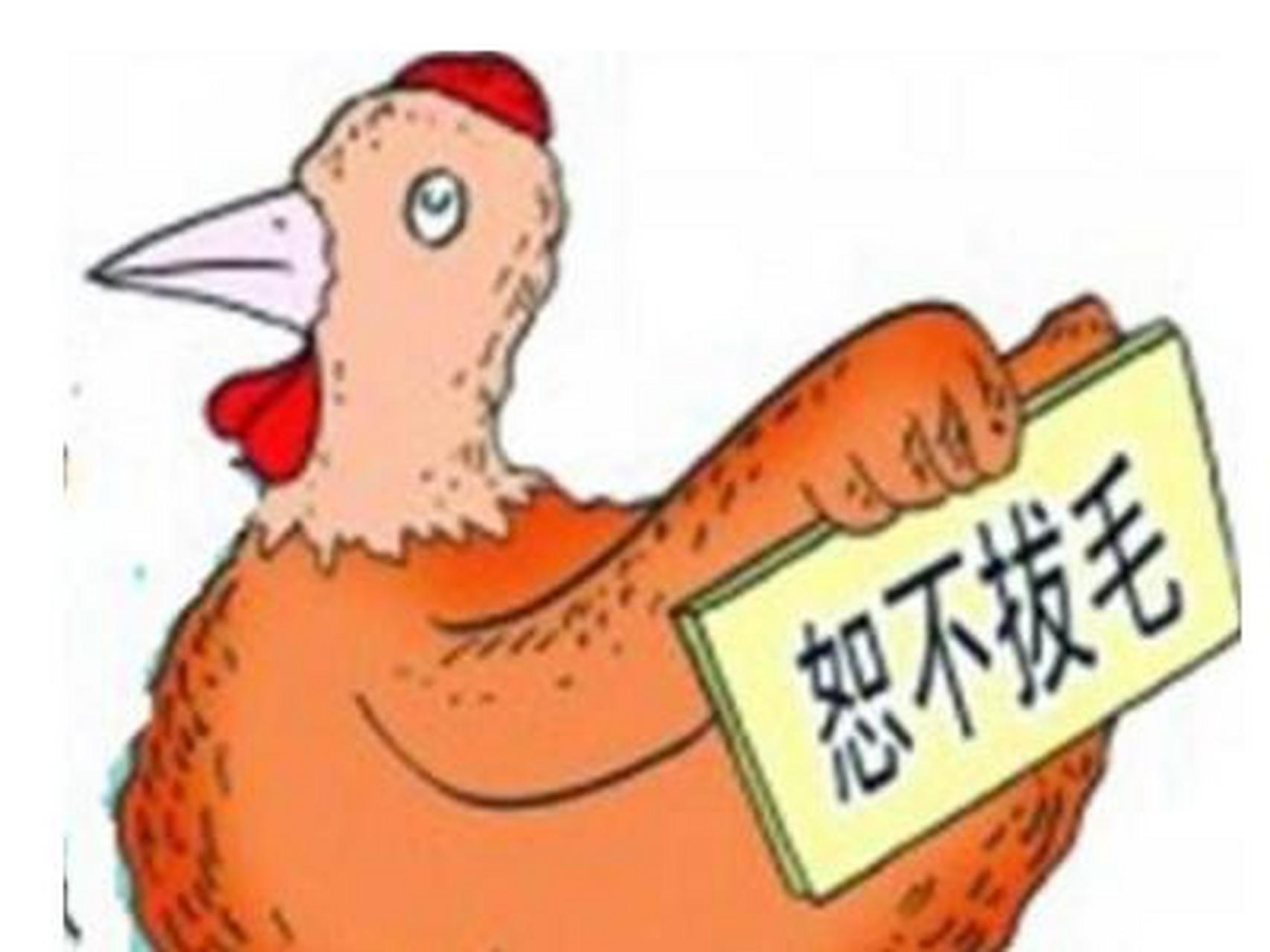 铁公鸡漫画图片图片