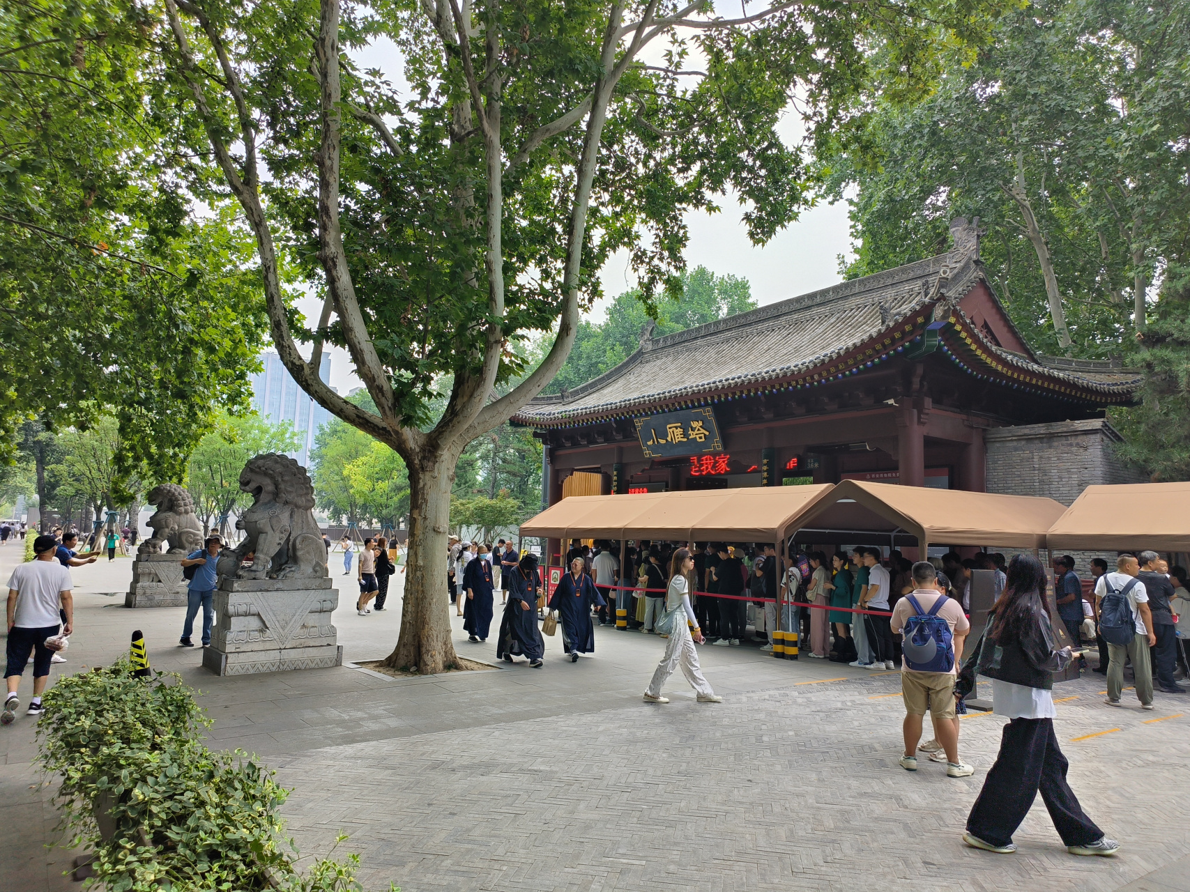 西安市小雁塔景区内的白衣阁松柏环绕,四周芳草萋萋,一幅初秋盛景