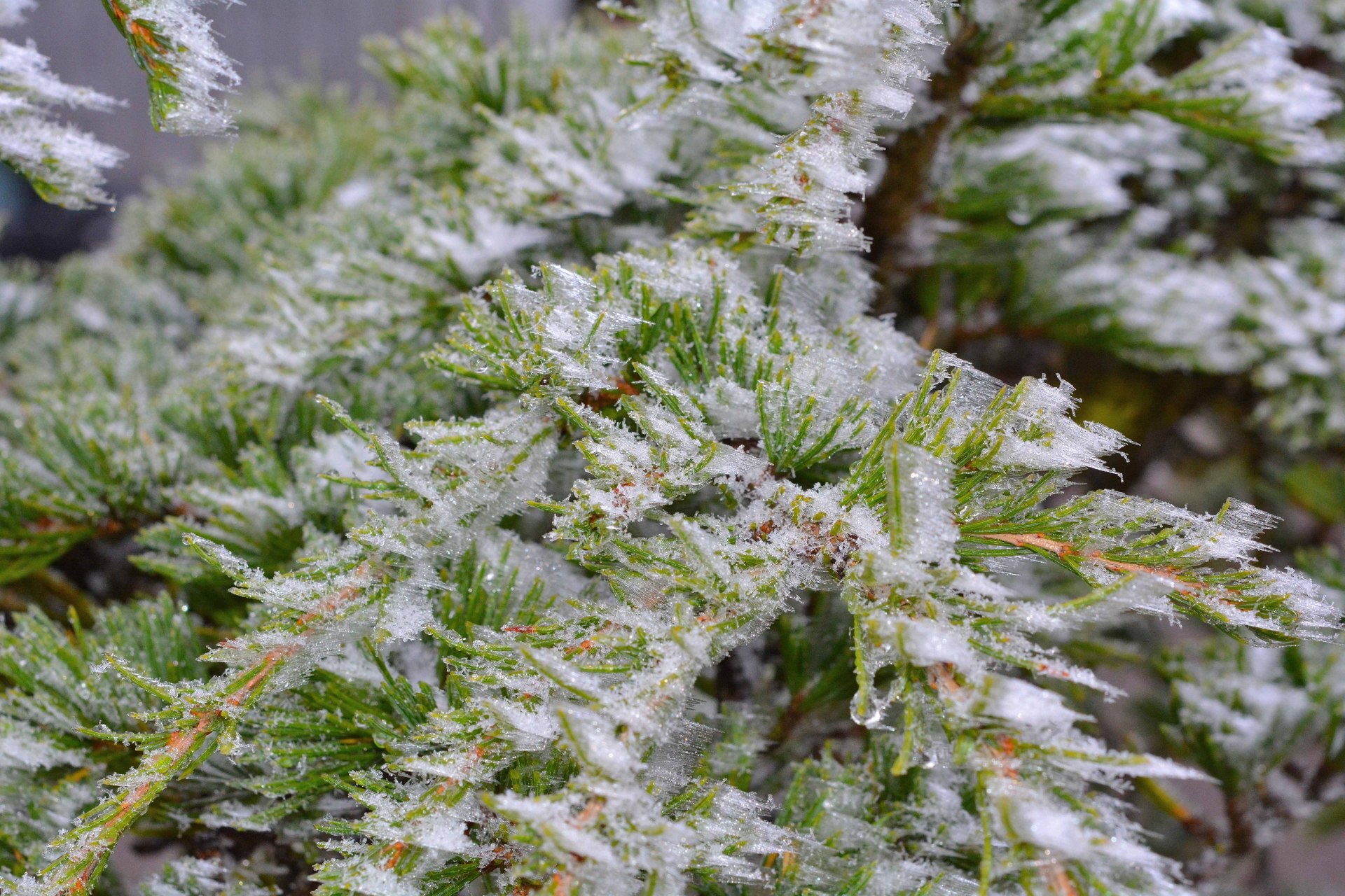 风雪山神庙壁纸图片