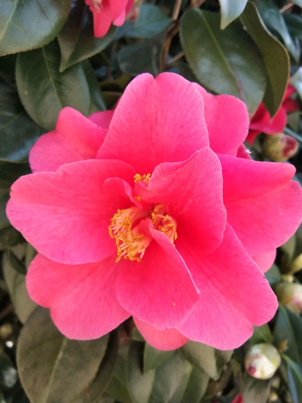 听说从7月1号起,微信支付也要收取百分之0.