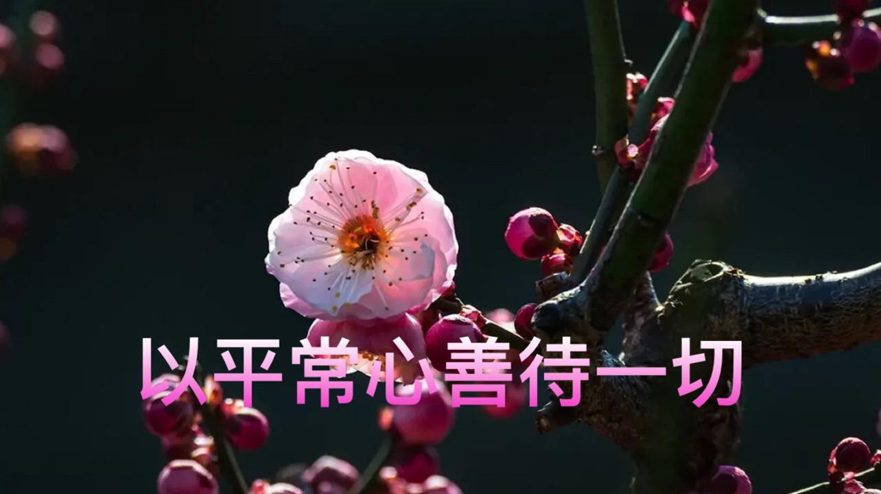 保持平常心,是一个人最难得的修行