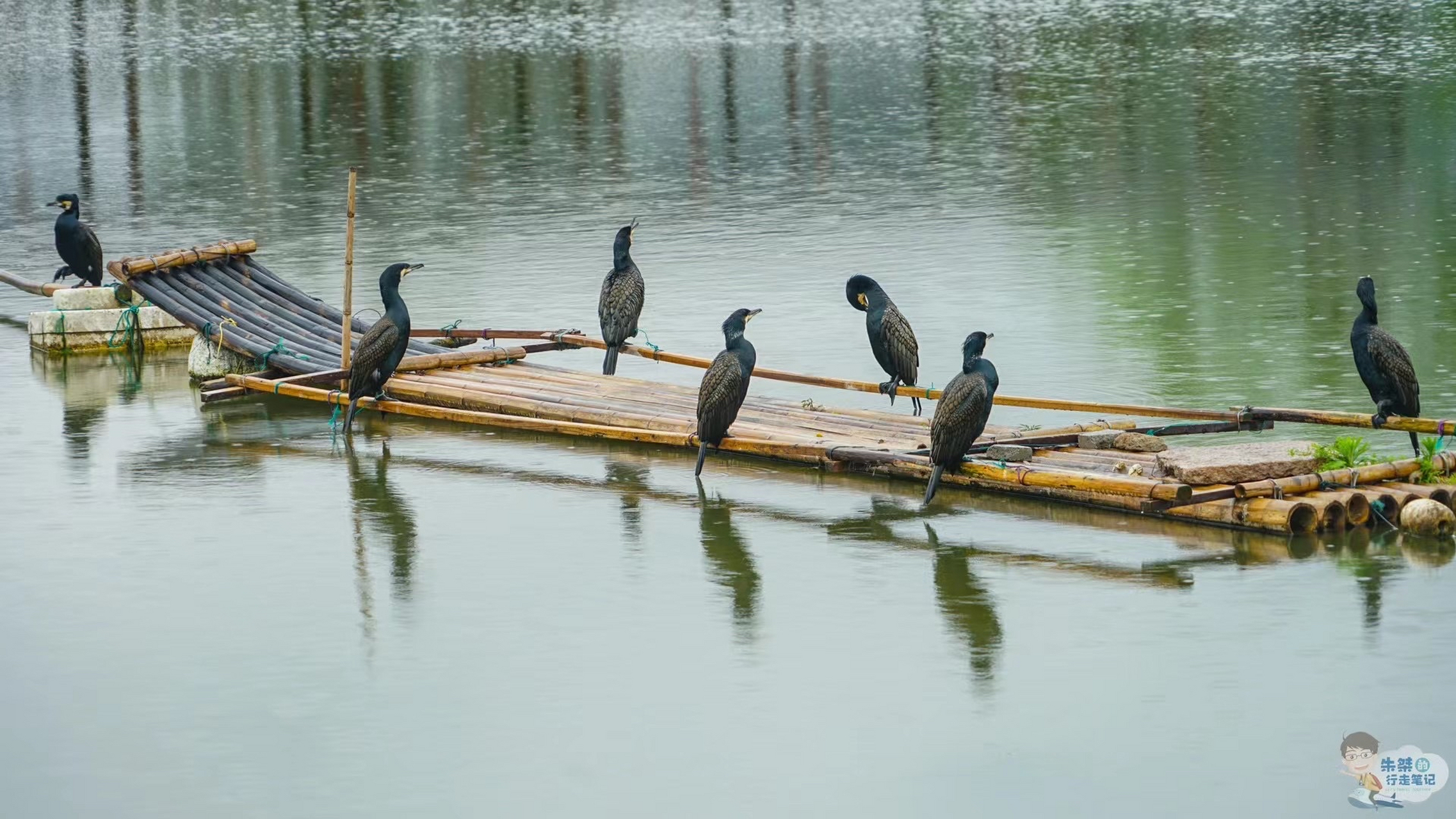 三都渔村,建德三都镇境内的一个渔业自然村  97据说这里是原九姓
