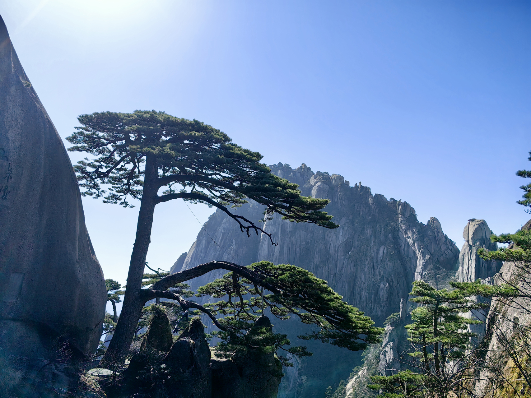 黄山迎客松.