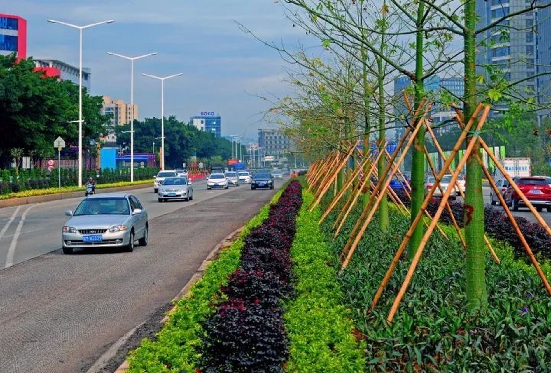 道路设计 城市道路中央绿化带设计,我认为可以把公交车停靠亭设计在