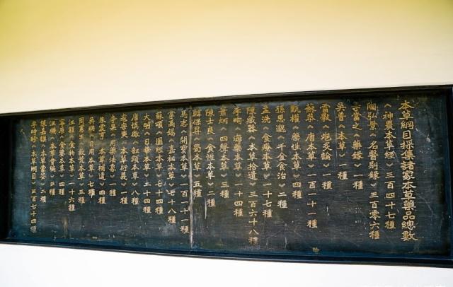 岭南第一人:陈白沙