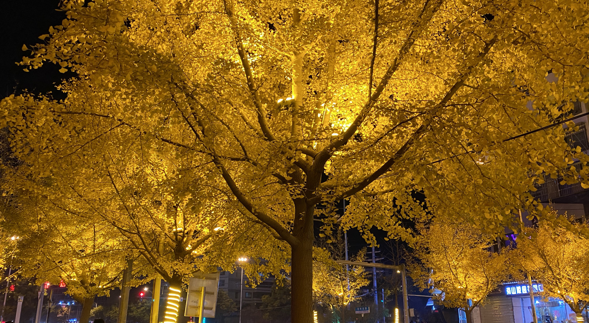 天水黄金大道