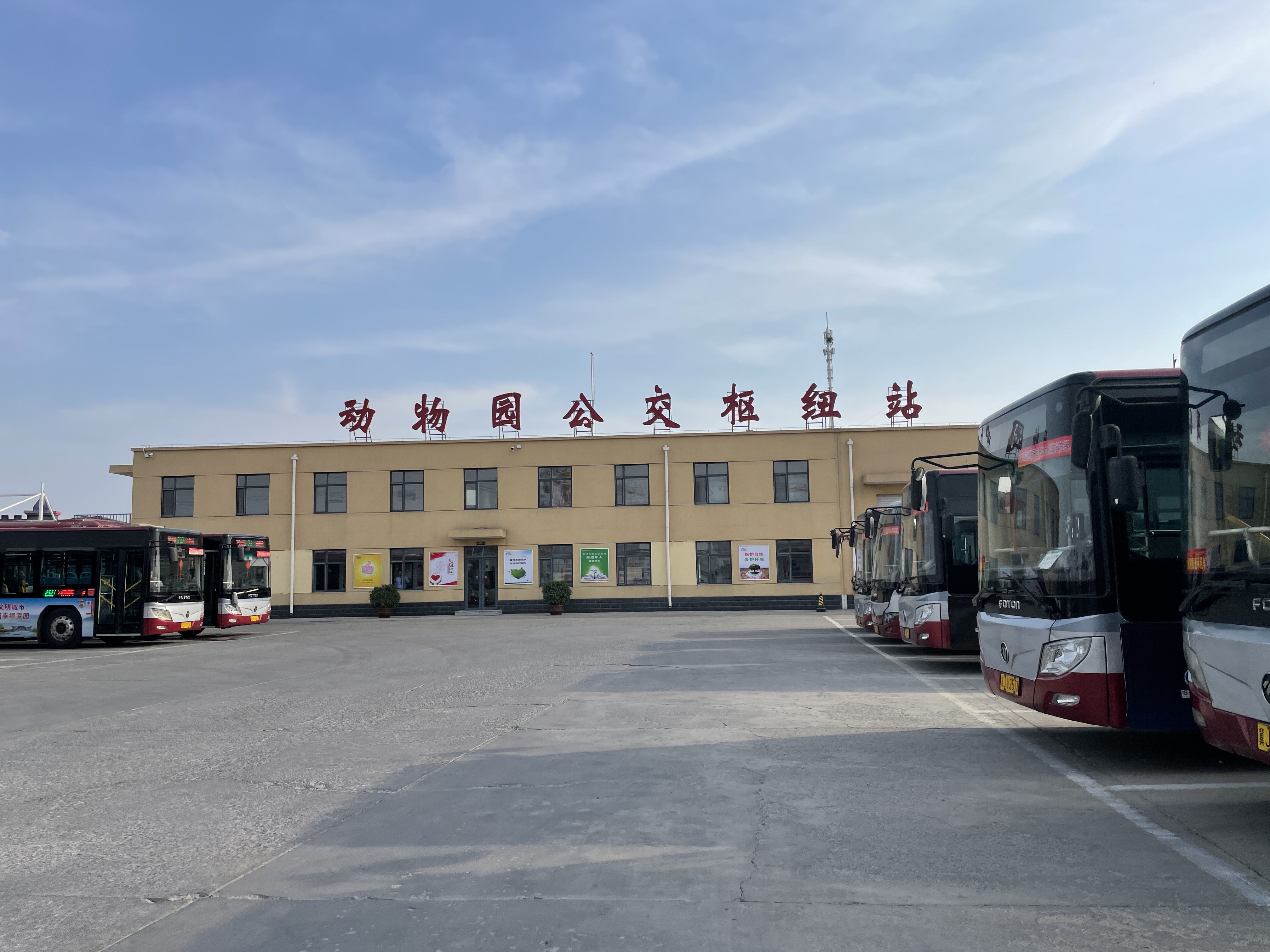 给沧州公交集团的一封感谢信