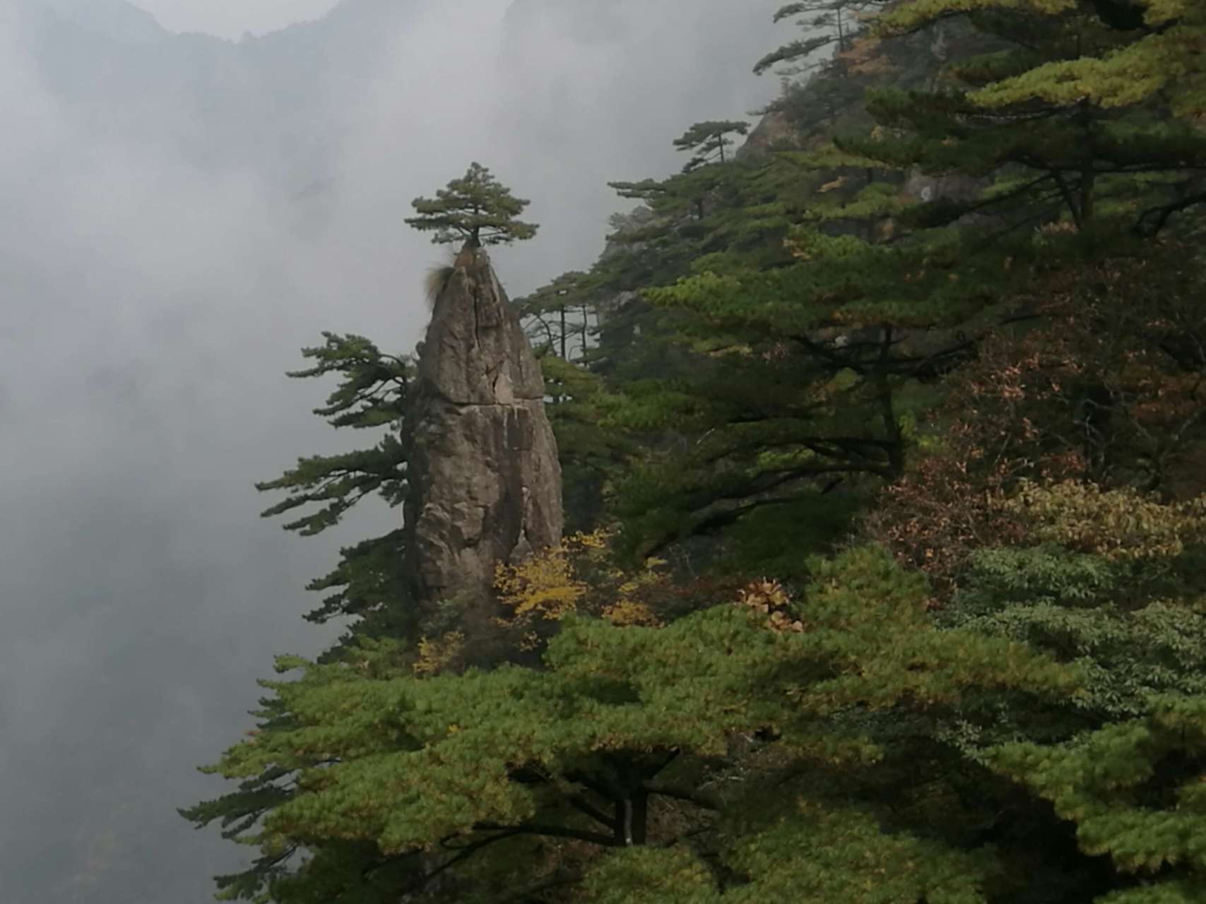 华山险,黄山奇图片