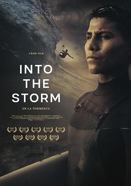 《 Into the storm》传奇手游最新发布网站
