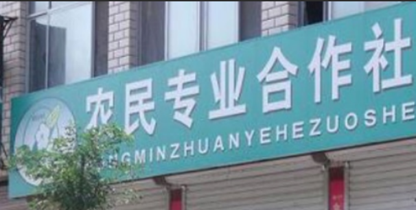 农民专业合作社属于什么企业类型