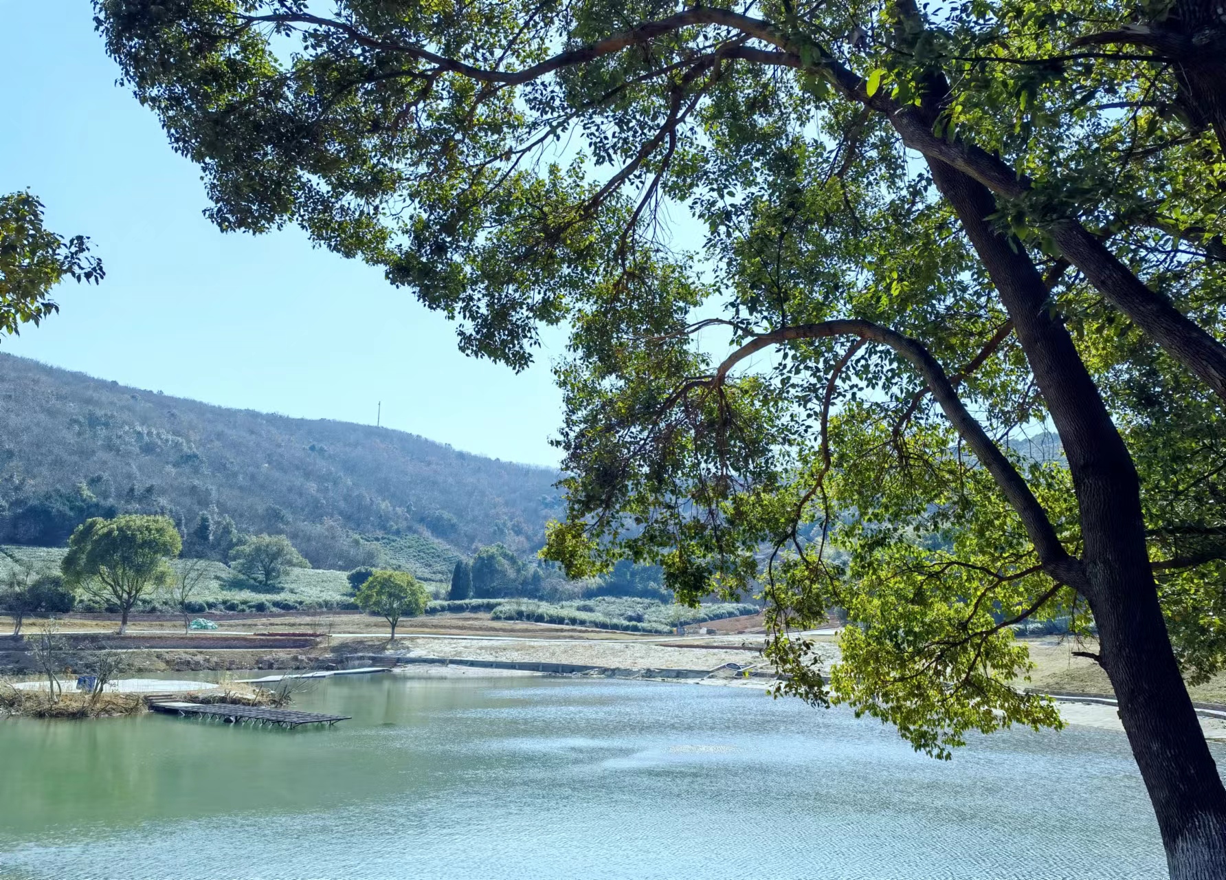 常州龙凤谷景区,坐落于武进雪堰镇凤凰村,有山有水,值得一游